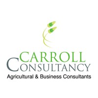 Carroll Consultancy logo, Carroll Consultancy contact details