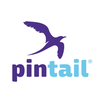 Pintail SA Maroc, Casablanca logo, Pintail SA Maroc, Casablanca contact details