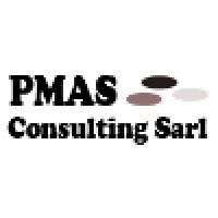 PMAS Consulting logo, PMAS Consulting contact details