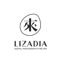 Lizadia logo, Lizadia contact details