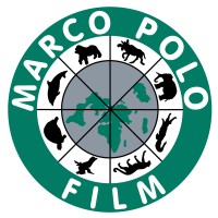 Marco Polo Film AG logo, Marco Polo Film AG contact details