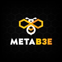 MetaB3E logo, MetaB3E contact details