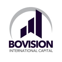 Bovision Capital ltd logo, Bovision Capital ltd contact details