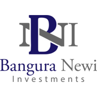 Bangura Newi Investments logo, Bangura Newi Investments contact details