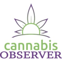 Cannabis Observer logo, Cannabis Observer contact details