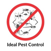 Ideal Pest Control logo, Ideal Pest Control contact details