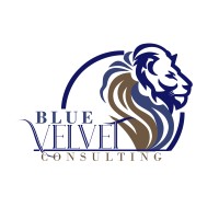 Blue Velvet Consulting logo, Blue Velvet Consulting contact details