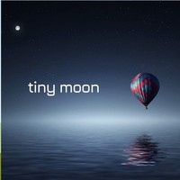 tiny moon logo, tiny moon contact details