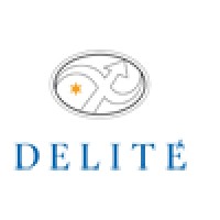 Delité AG logo, Delité AG contact details