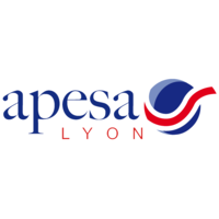 CSI Anglophone Section, Lyon - APESA logo, CSI Anglophone Section, Lyon - APESA contact details