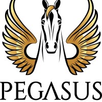 Pegasus Insurance Agency logo, Pegasus Insurance Agency contact details