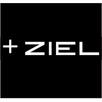 Ziel Consult & Services logo, Ziel Consult & Services contact details