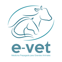 e-vet.co logo, e-vet.co contact details