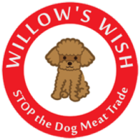 Willow's Wish logo, Willow's Wish contact details