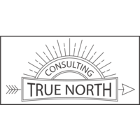 True North Consulting Partners logo, True North Consulting Partners contact details