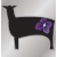 Black Sheep & Orchid, LLC logo, Black Sheep & Orchid, LLC contact details