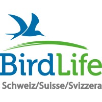 BirdLife Schweiz / Suisse / Svizzera logo, BirdLife Schweiz / Suisse / Svizzera contact details