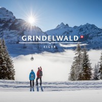 Grindelwald Tourismus logo, Grindelwald Tourismus contact details