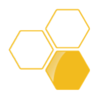 bee solutions sàrl logo, bee solutions sàrl contact details