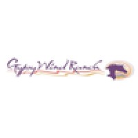 Gypsy Wind logo, Gypsy Wind contact details