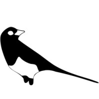 Magpie Advisory logo, Magpie Advisory contact details