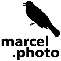 marcel.photo logo, marcel.photo contact details