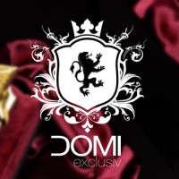 DOMI Exclusiv GmbH logo, DOMI Exclusiv GmbH contact details