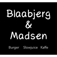 Blaabjerg & Madsen Aps logo, Blaabjerg & Madsen Aps contact details