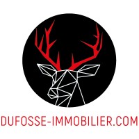 Dufossé Immobilier logo, Dufossé Immobilier contact details