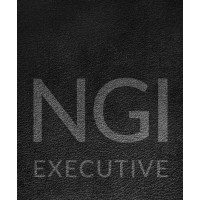 NGI Executive logo, NGI Executive contact details