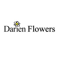 Darien Flowers logo, Darien Flowers contact details