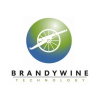 Brandywine Technology logo, Brandywine Technology contact details