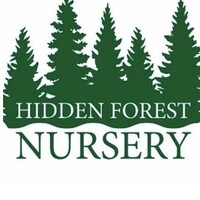 Hidden Forest Nursery logo, Hidden Forest Nursery contact details