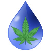 Cannabis Irrigation Supply logo, Cannabis Irrigation Supply contact details