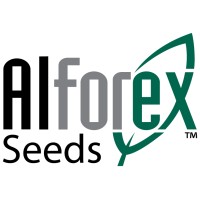 Alforex Seeds Alfalfa logo, Alforex Seeds Alfalfa contact details