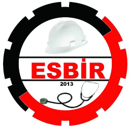 ESBİR logo, ESBİR contact details