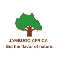 Jambugo GmbH logo, Jambugo GmbH contact details