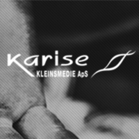 Karise Kleinsmedie ApS logo, Karise Kleinsmedie ApS contact details