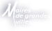 Association Des Maires De Grandes Villes De France (Amgvf) logo, Association Des Maires De Grandes Villes De France (Amgvf) contact details