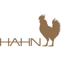 HAHN media group ag. logo, HAHN media group ag. contact details