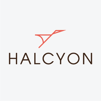 Halcyon Strategic Partners logo, Halcyon Strategic Partners contact details