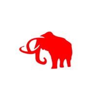 mini mammoth logo, mini mammoth contact details