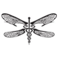 Dragonfly Strategy logo, Dragonfly Strategy contact details