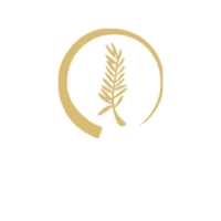 Golden Palm's Travel logo, Golden Palm's Travel contact details