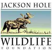 JACKSON HOLE WILDLIFE FOUNDATION logo, JACKSON HOLE WILDLIFE FOUNDATION contact details