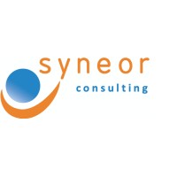 SYNEOR Consulting logo, SYNEOR Consulting contact details