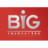 The BiG Foundation logo, The BiG Foundation contact details