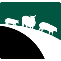 3 Sheep Analytics logo, 3 Sheep Analytics contact details