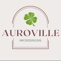 Auroville logo, Auroville contact details