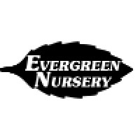 Evergreen Nursery logo, Evergreen Nursery contact details